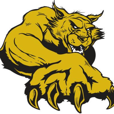 AR WILDCAT 26 RC 縮圖