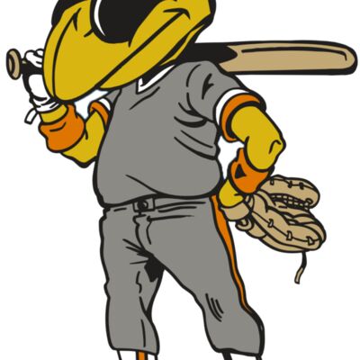 AR5 BEE 17 RQC 縮圖