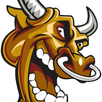 BULL HD0504 RQC 縮圖