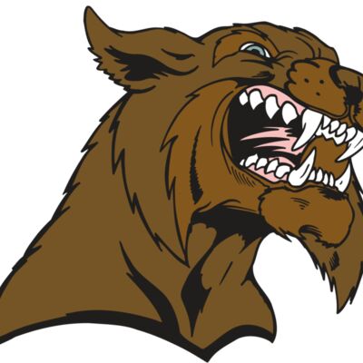 AR5 BOBCAT 21 RQC 縮圖