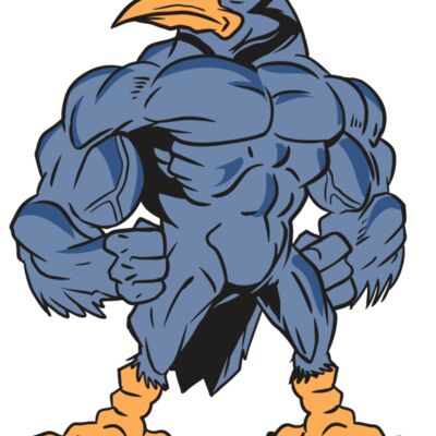 AR13 BLUEJAY 03 RQC 縮圖