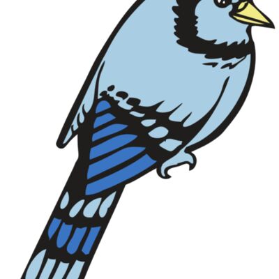 BAW BLUEJAY 08 RC 縮圖