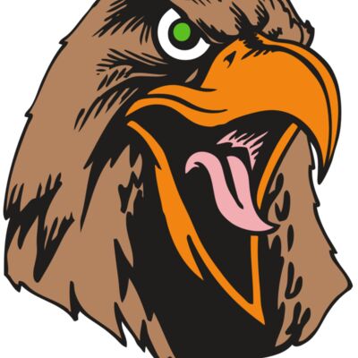 BAW HWK FLCN 01 RC 縮圖