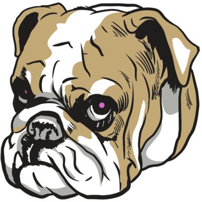 AR10 BDOG 01 C 縮圖