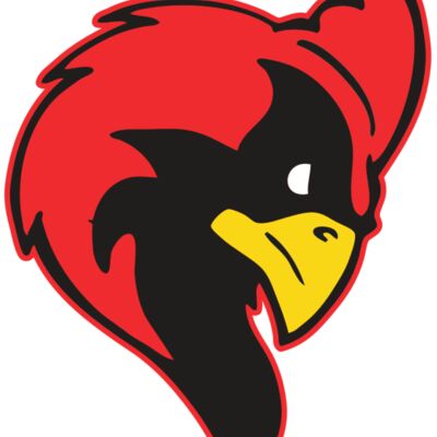 AR CARDINAL 24 RC 縮圖