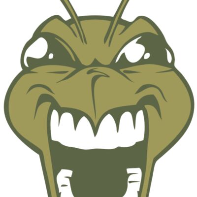 BAW BEE 13 RC 縮圖