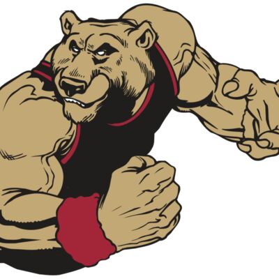 AR BEAR 40 RC 縮圖