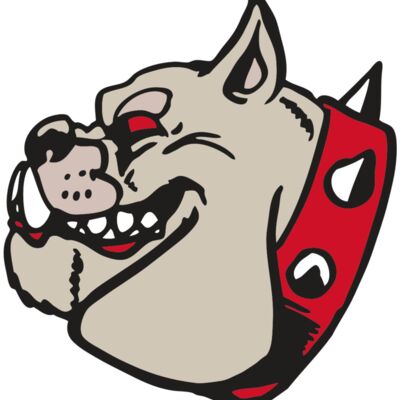 AR BDOG 47 RC 縮圖