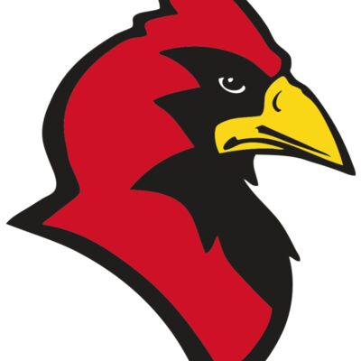 AR CARDINAL 20 RC 縮圖