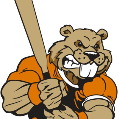 AR4 BEAVER 04 RQC 縮圖