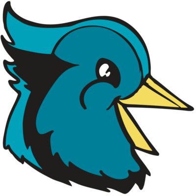 BAW BLUEJAY 11 RC 縮圖