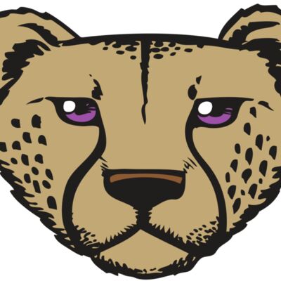 BAW CHEETAH 14 RC 縮圖