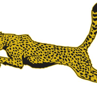 AR CHEETAH 10 RC 縮圖