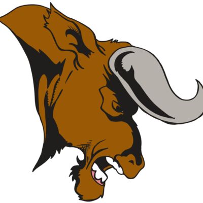 AR5 BULL 07 RQC 縮圖