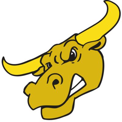 AR BULL 29 RC 縮圖