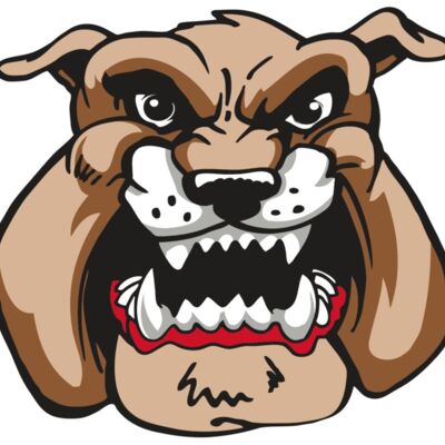 AR3 BDOG 02 RQC 縮圖