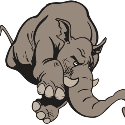 AR5 Elephant 17 RQC 縮圖