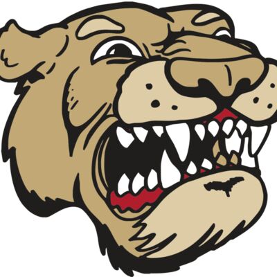 AR5 COUGAR 04 RQC 縮圖