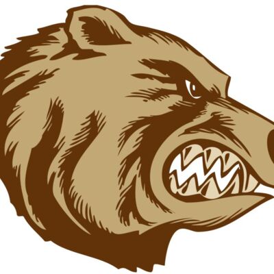 BAW BEAR 16 RC 縮圖