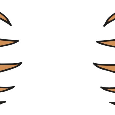 AR BEAR 05 RC 縮圖