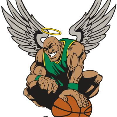 AR17 ANGEL BSKT 03 RQC 縮圖