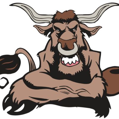 AR5 BULL 17 RQC 縮圖