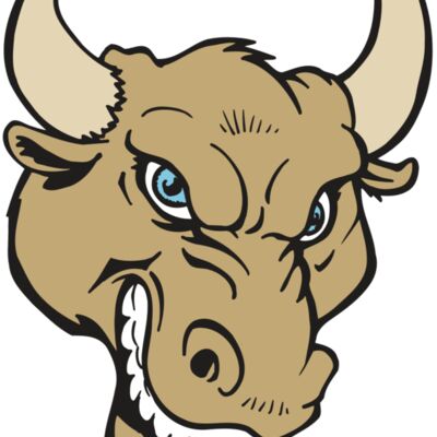 AR5 BULL 13 RQC 縮圖