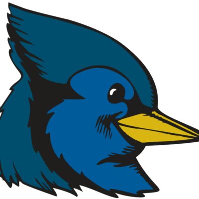 BAW BLUEJAY 07 RC 縮圖