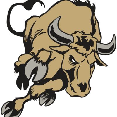 AR BULL 51 RC 縮圖