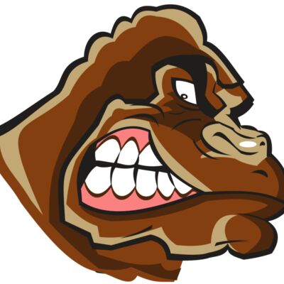 GORILLA HD0502 RQC 縮圖