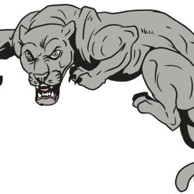 AR10 PANTHER 02 RQC 縮圖