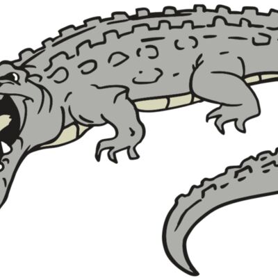 AR GATOR 53 RQC 縮圖