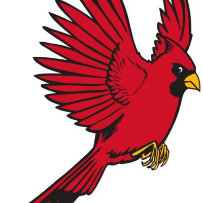 BAW CARDINAL 19 RC 縮圖