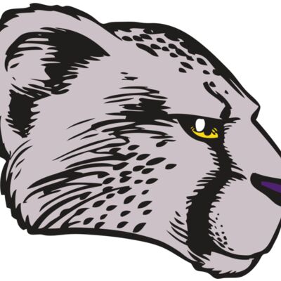 BAW CHEETAH 20 RC 縮圖