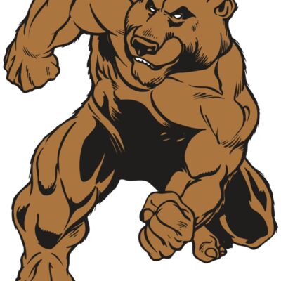 AR BEAR 35 RC 縮圖