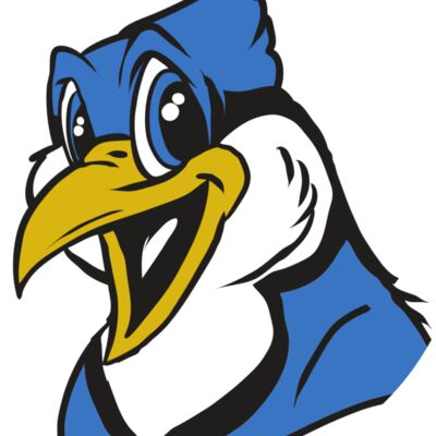 AR31 BLUEJAY 01 RQC 縮圖