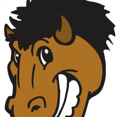 AR BUFFALO 17 RC 縮圖