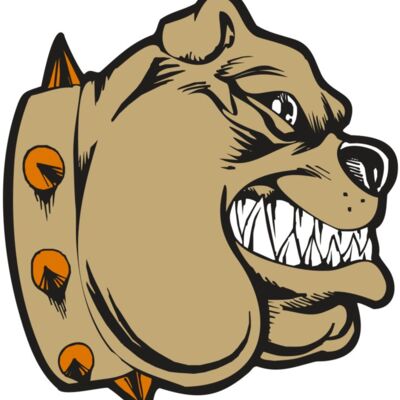 BAW BULLDOG 02 RC 縮圖