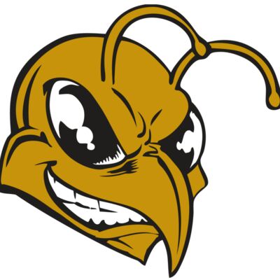 BAW BEE 18 RC 縮圖