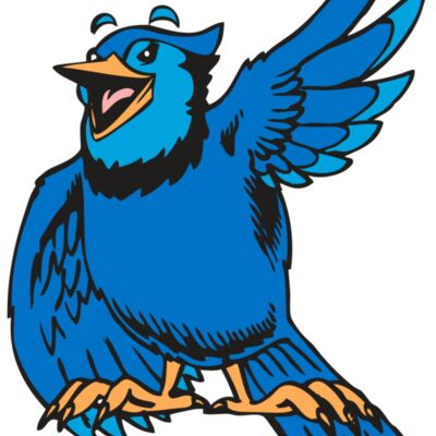 BAW BLUEJAY 06 RC 縮圖