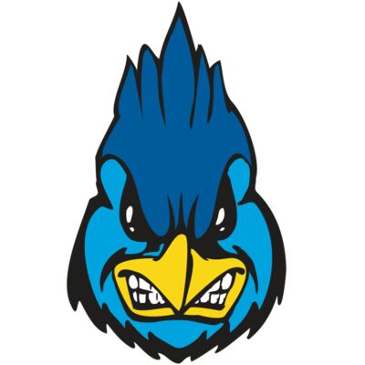 BAW BLUEJAY 02 RC 縮圖