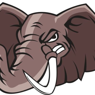 ELEPHANT HD0504 RQC 縮圖