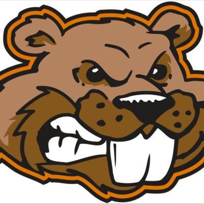 AR BEAVER 11 RC 縮圖