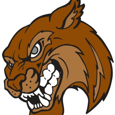 AR5 BOBCAT 07 RQC 縮圖