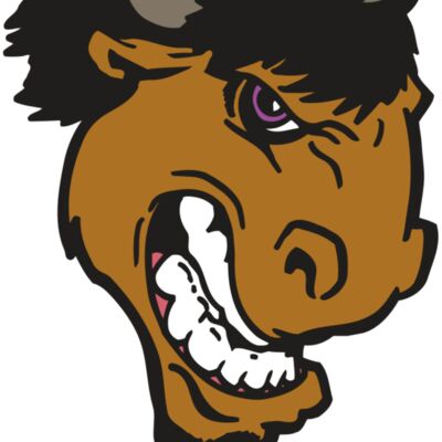 AR BUFFALO 13 RC 縮圖