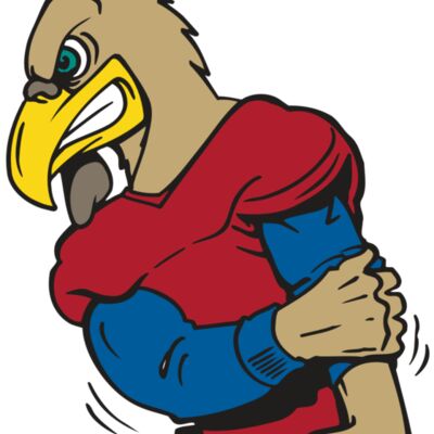 AR GCOCK 10 RC 縮圖