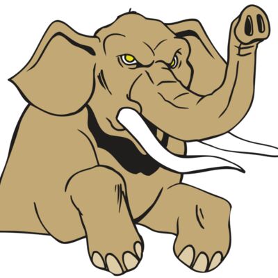 AR ELEPH 19 RC 縮圖