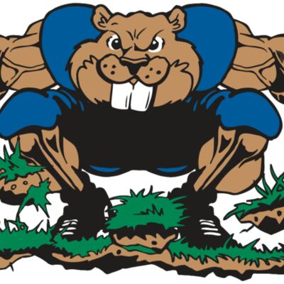 AR14 BEAVER FBLL 04 RQC 縮圖