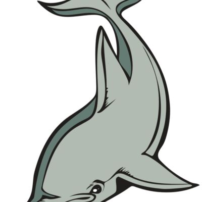 BAW DOLPHIN 01 RC 縮圖