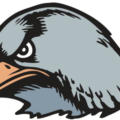 BAW HWK FLCN 03 RC 縮圖